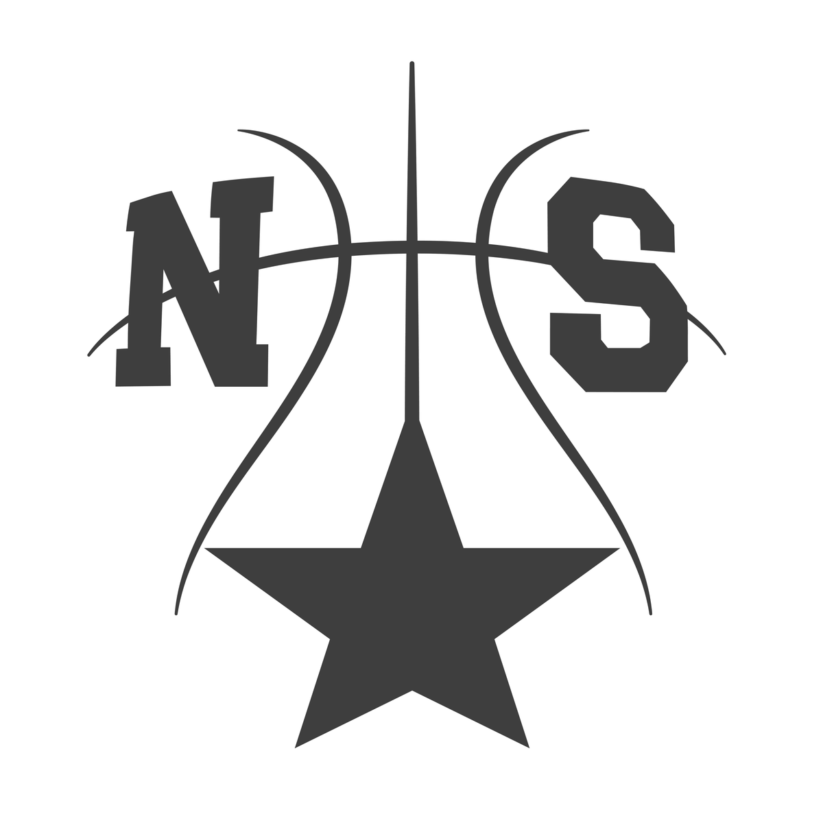 North Somerset Stars